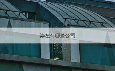 崇左4500元月薪水平分析 聚焦薪资现状与国营贸易管理货物进出口行业